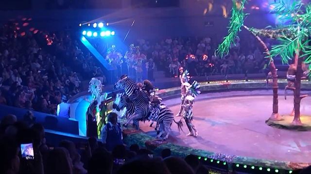 ЗЕБРЫ С ОБЕЗЬЯНАМИ, ШОУ "БУРЛЕСК", ВЛАДИВОСТОКСКИЙ ЦИРК смотреть онлайн