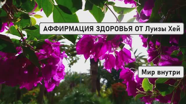 АФФИРМАЦИЯ ЗДОРОВЬЯ от Луизы Хей | 5 МИНУТ в День для Исцеления Тела и Духа