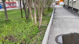 Влог: Вышивка крестиком. Отчет по вышивке часов .