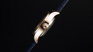 НЕМЕЦКИЕ ЧАСЫ Carl von Zeyten CVZ0072RBLS