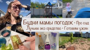 БУДНИ МАМЫ ПОГОДОК🤪 НАШ САД КАК АНТИСТРЕСС🌱 ГОТОВИМ ВКУСНЫЙ УЖИН🍲 ПОСТАВИЛИ ДЕТСКУЮ ПЛОЩАДКУ🥳