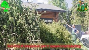 Первый день посадок