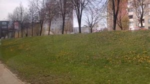 Поездка на зелёном автобусе МАЗ 103 по маршруту №8.