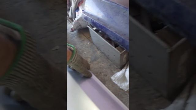 Ремонт пластика Каменское. Ремонт порогов и бампера о? смотреть онлайн