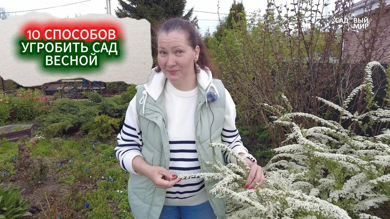 БЕСПОЛЕЗНЫЕ И ВРЕДНЫЕ  РАБОТЫ В САДУ ВЕСНОЙ - УЧИМСЯ НА ЧУЖИХ ОШИБКАХ КАК НЕ ОСТАТЬСЯ БЕЗ УРОЖАЯ🌱