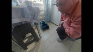 Нагулялась, хочу спать, а кошка не дала...