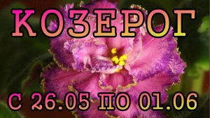 КОЗЕРОГ таро прогноз на неделю с 26 МАЯ по 1 ИЮНЯ 2025 года.