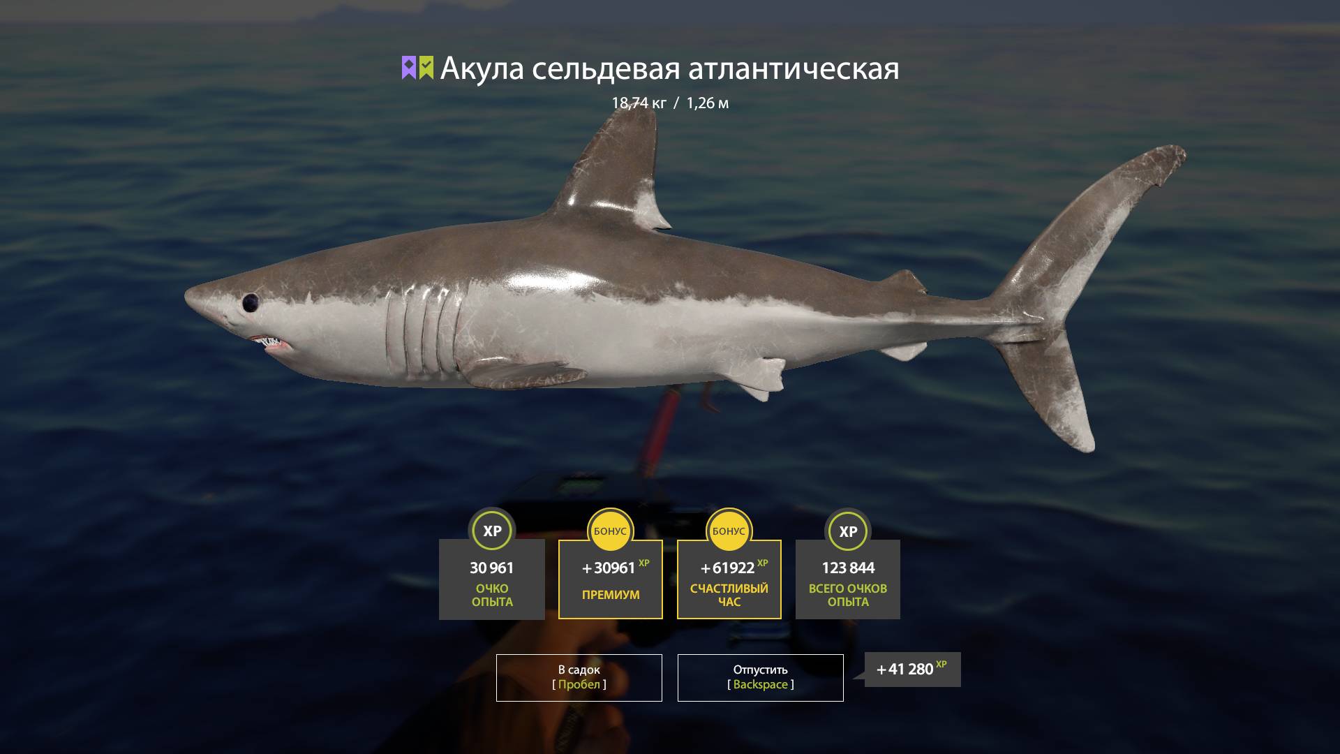 Русская рыбалка 4. Норвежское море. Акула сельдевая смотреть онлайн