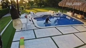 FailArmy. Best Fails of the Week | Mistakes Gone Wrong