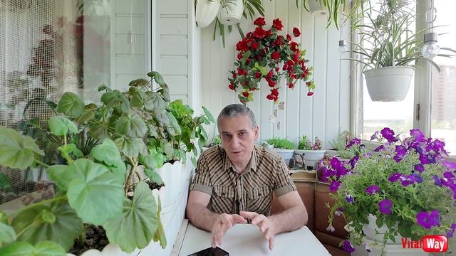 Подписчик на Сурско-Литовском кладбище Днепропетровска