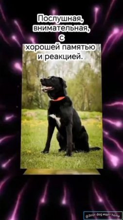 До чего же хороша