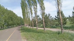 КРАСНОЯРСК //ТАТЫШЕВ ПАРК //ЖАРА ПОД 40