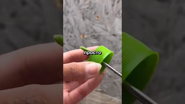 стендап