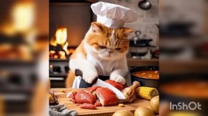 Милый котик🐱🐱🐱
