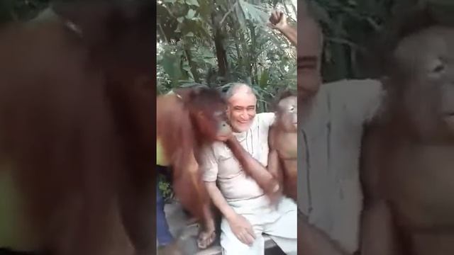 Этот мужик с обезьянами не Николай Дроздов смотреть онлайн