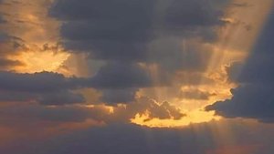 Мы из звездной пыли