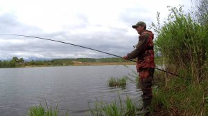 НЕПЛОХАЯ РЫБКА.