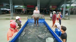 Ловля рыбы сетью. Продаем рыбу на рынке. Жизнь во Вьетнаме