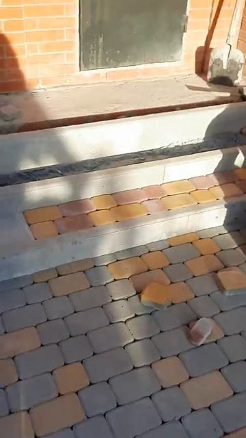 классико смотреть онлайн