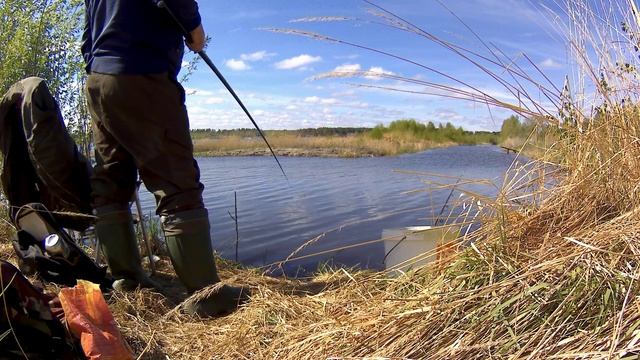 Рыбалка в мае, на карася. Поплавочная удочка. смотреть онлайн
