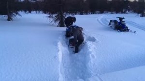 Yamaha ovation 340 вытаскиваем. Хорошо что лёгкая))