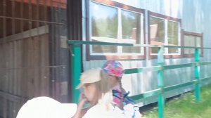 Поход в парк "Фазоонда"/разные животные/пикник на траве/дети/школа/работа