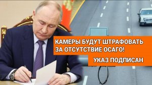 Путин подписал указ о введение штрафов за отсутствие ОСАГО с камер