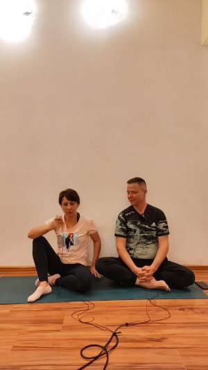 20250524 Сб ~10:00. Аксиоматика Йоги, часть 2. Группа Шакти23. Открытая йога.