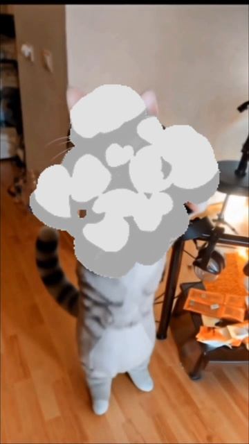 тунг-тунг-тунг колбаш смотреть онлайн