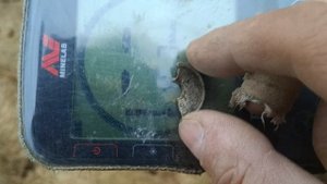 КОП С Minelab EQUINOX 700 НАХОДКИ ОТ ДОМОНГОЛА ДО СОВЕТОВ!