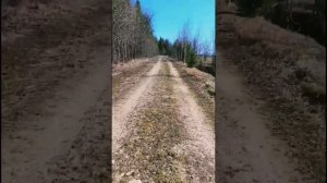 трицикл из мотоблока на 13 колёсах