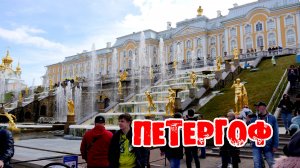 Петергоф и огромные чебуреки в "Брынзе"