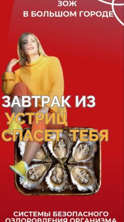 Завтрак из устриц #FitLine