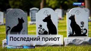 ГТРК СЛАВИЯ Захоронение домашних животных 25.05.25