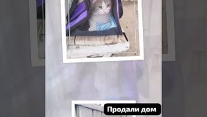 Добро и Зло.  В застенках каземата. .mp4