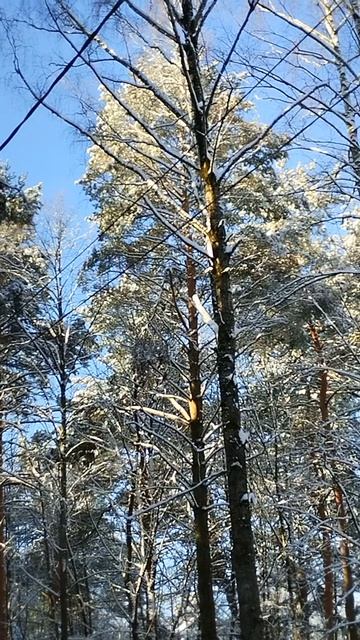 PXL_20250316_091014345