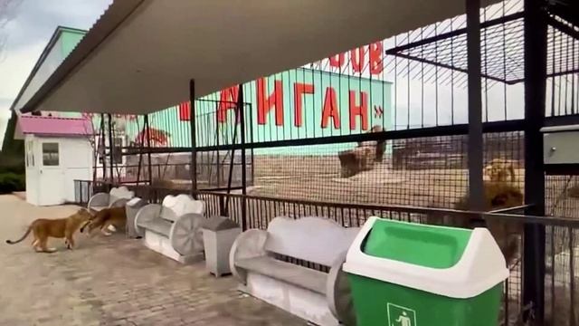 На прогулке