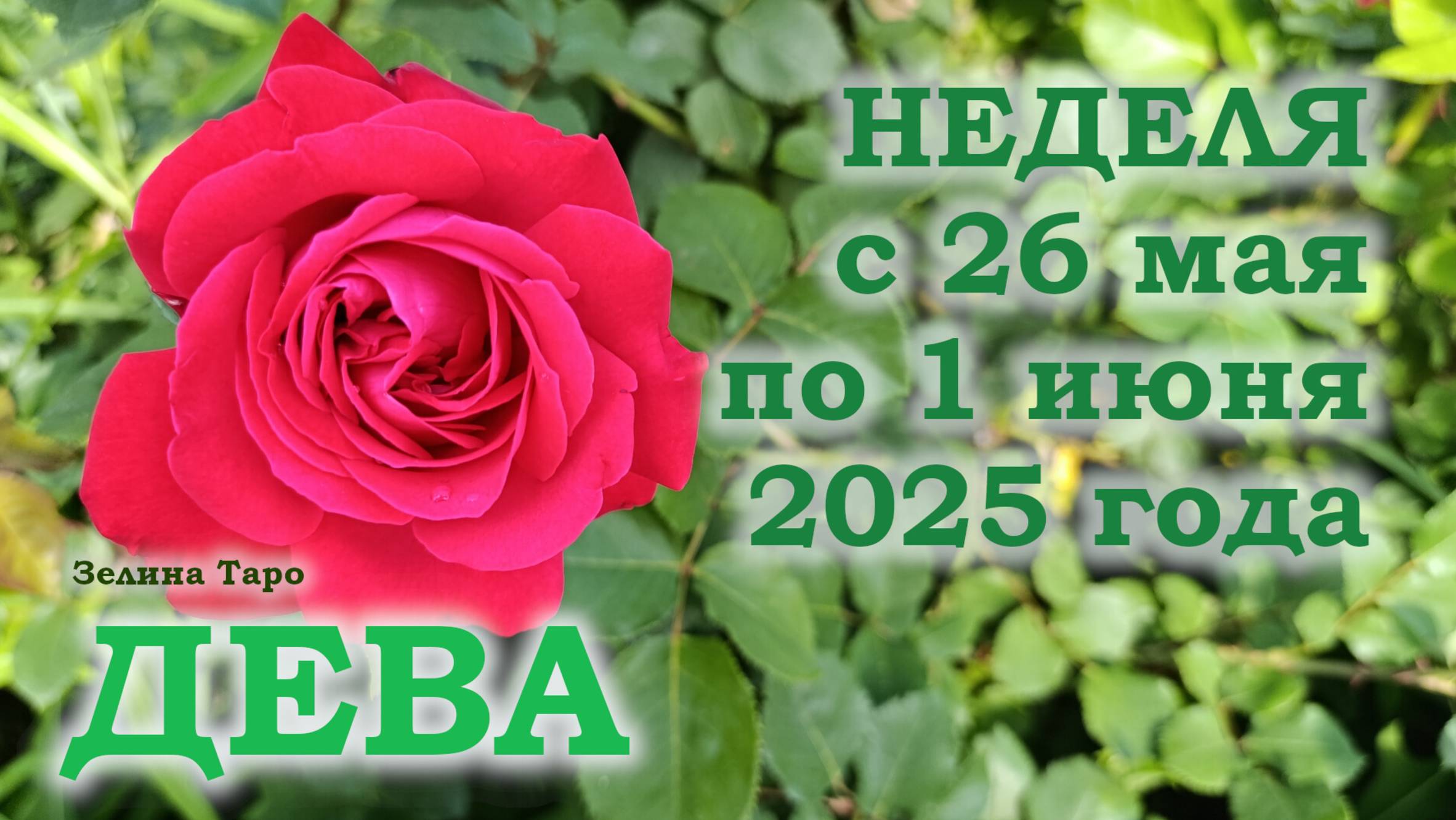ДЕВА | ТАРО прогноз на неделю с 26 мая по 1 июня 2025 года