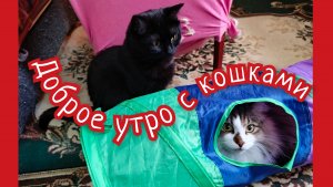 С добрым утром.