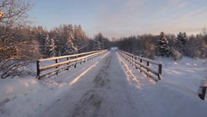 Сосновец.Карелия