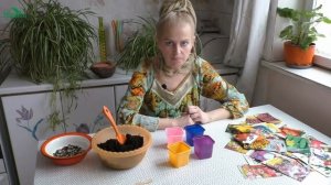 Нехватка кислорода - частая причина гибели рассады - 7 дач