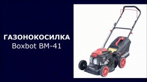 Газонокосилка бензиновая Boxbot BM-41