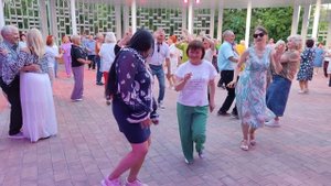 Лилии 25.05.25.