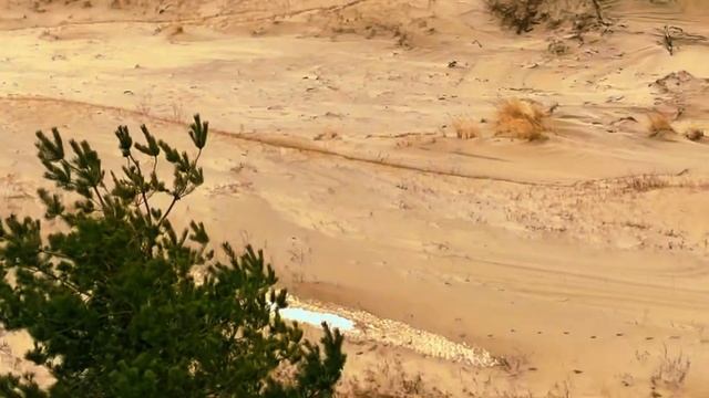 Калининград и область I Светлогорск I Зеленоградск - Ку смотреть онлайн