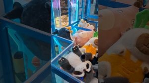С женой играем в большую хватайку 🤗