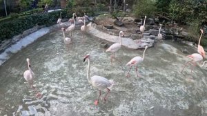 Хошимин 2025: Шок и правда. Уличная еда, рынки и что скрыв