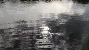 ЩУЧЬЕ ОЗЕРО!ЩУКА ОДНА ЗА ОДНОЙ!