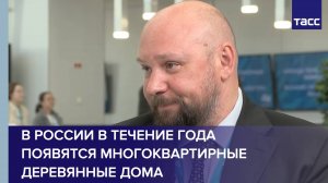 В России в течение года появятся многоквартирные деревянные дома