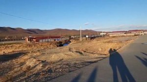 Шамора. Владивосток. Конец сезона.