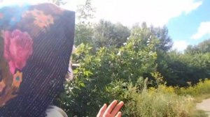СНЮСОЕДЫ ВОКРУГ СВЕТА •3 Заповедник Снюсокрас|Поиск о